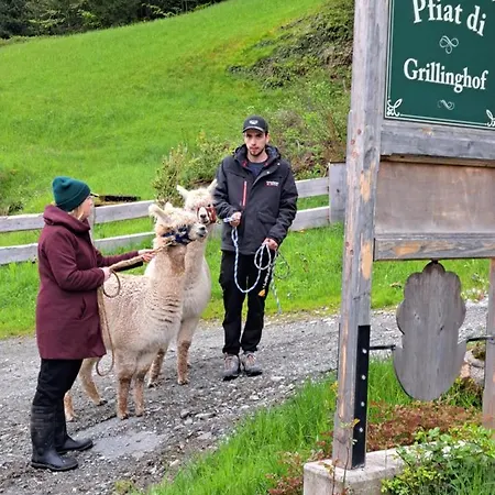 Grillinghof Kirchberg in Tirol