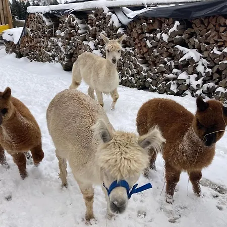 Grillinghof Gospodarstwo agroturystyczne *