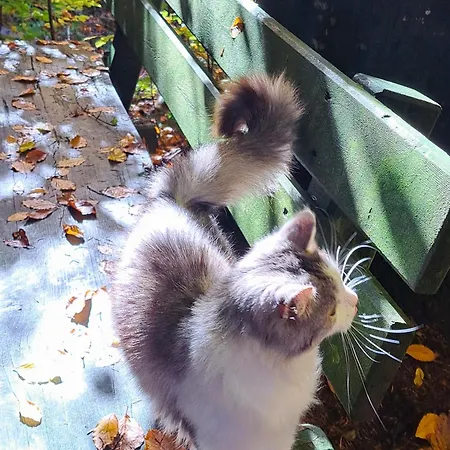 Grillinghof Gospodarstwo agroturystyczne