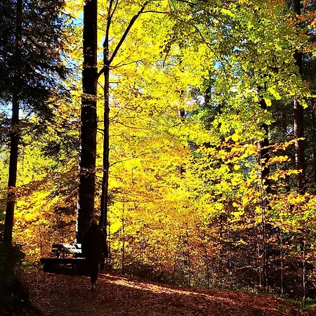 Grillinghof Κατάλυμα σε φάρμα *