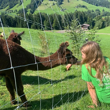 Grillinghof Κίρχμπεργκ ιν Τιρόλ