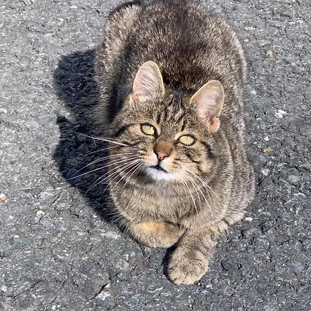 Gospodarstwo agroturystyczne Grillinghof