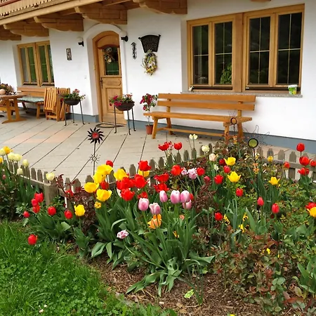 Grillinghof Kirchberg in Tirol