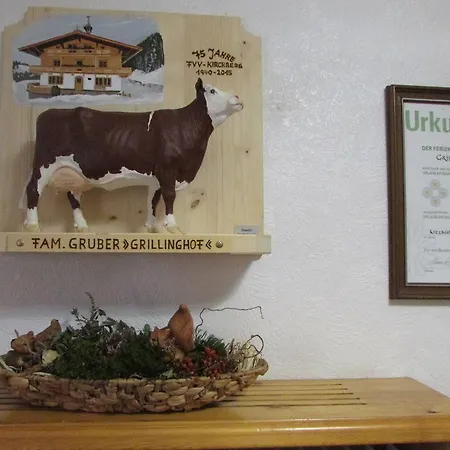 Grillinghof * Κίρχμπεργκ ιν Τιρόλ