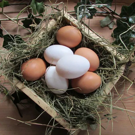 Gospodarstwo agroturystyczne Grillinghof