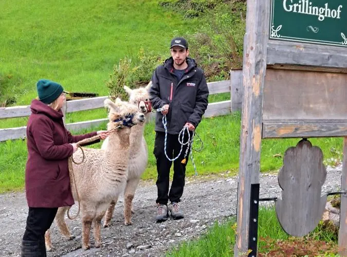 Grillinghof Kirchberg in Tirol