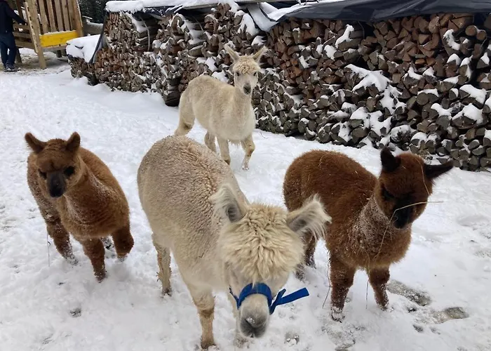 Grillinghof Feriegård *