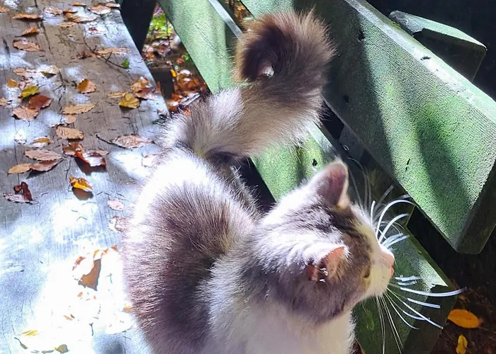 Grillinghof Feriegård