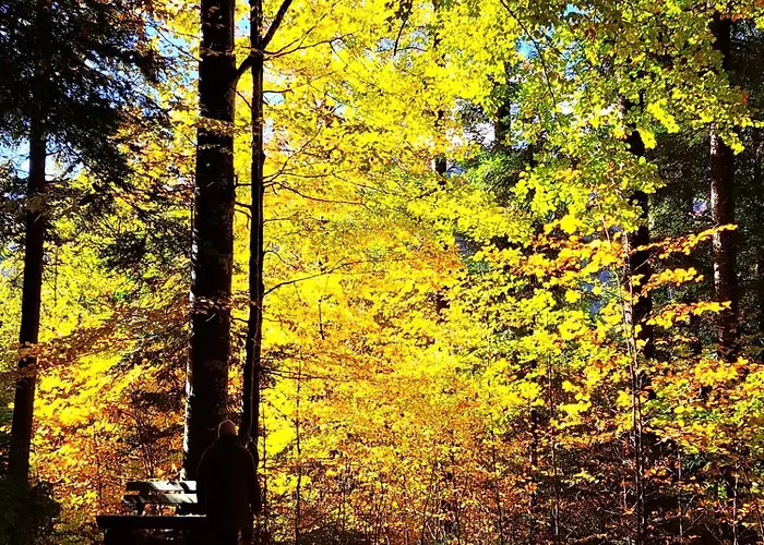 Grillinghof Feriegård *