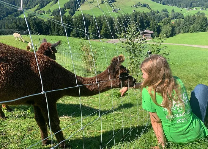 Grillinghof Kirchberg in Tirol