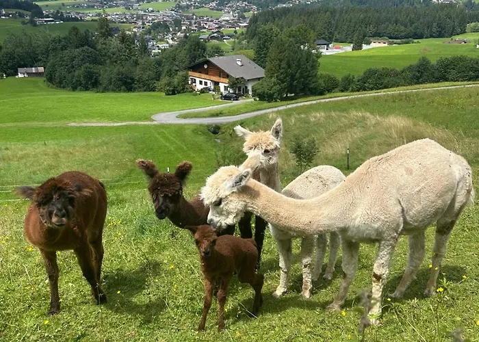 Grillinghof * Kirchberg in Tirol
