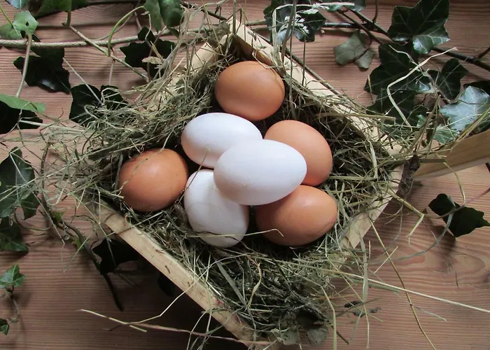 Feriegård Grillinghof