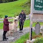 Grillinghof Kirchberg in Tirol