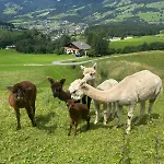 Grillinghof * Kirchberg in Tirol